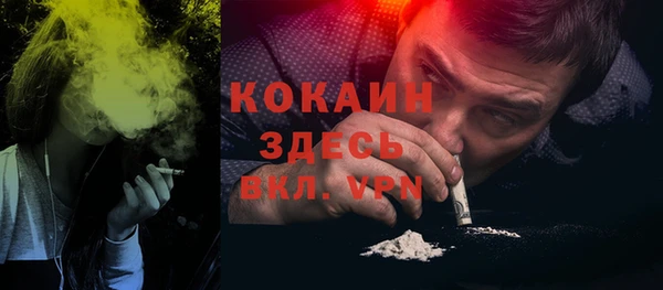 прущие грибы Покровск