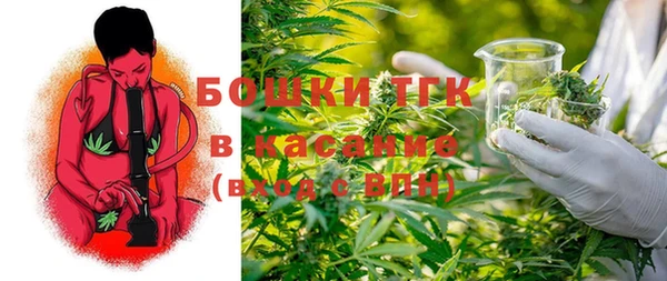 прущие грибы Покровск