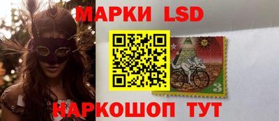 индика Гусев