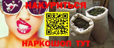 индика Гусев