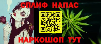 индика Гусев