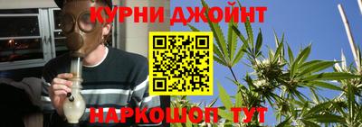 индика Гусев