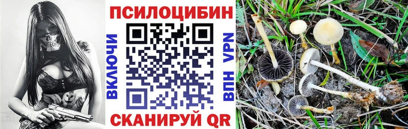 закладка  Клин  Галлюциногенные грибы Magic Shrooms 