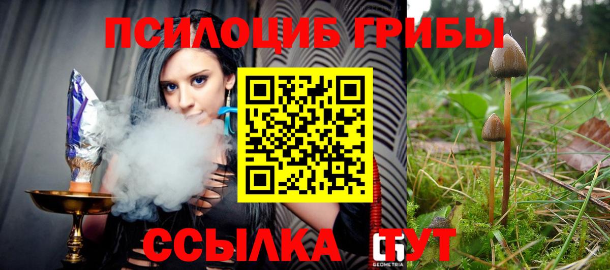 Галлюциногенные грибы прущие грибы  Вход с VPN  Клин 